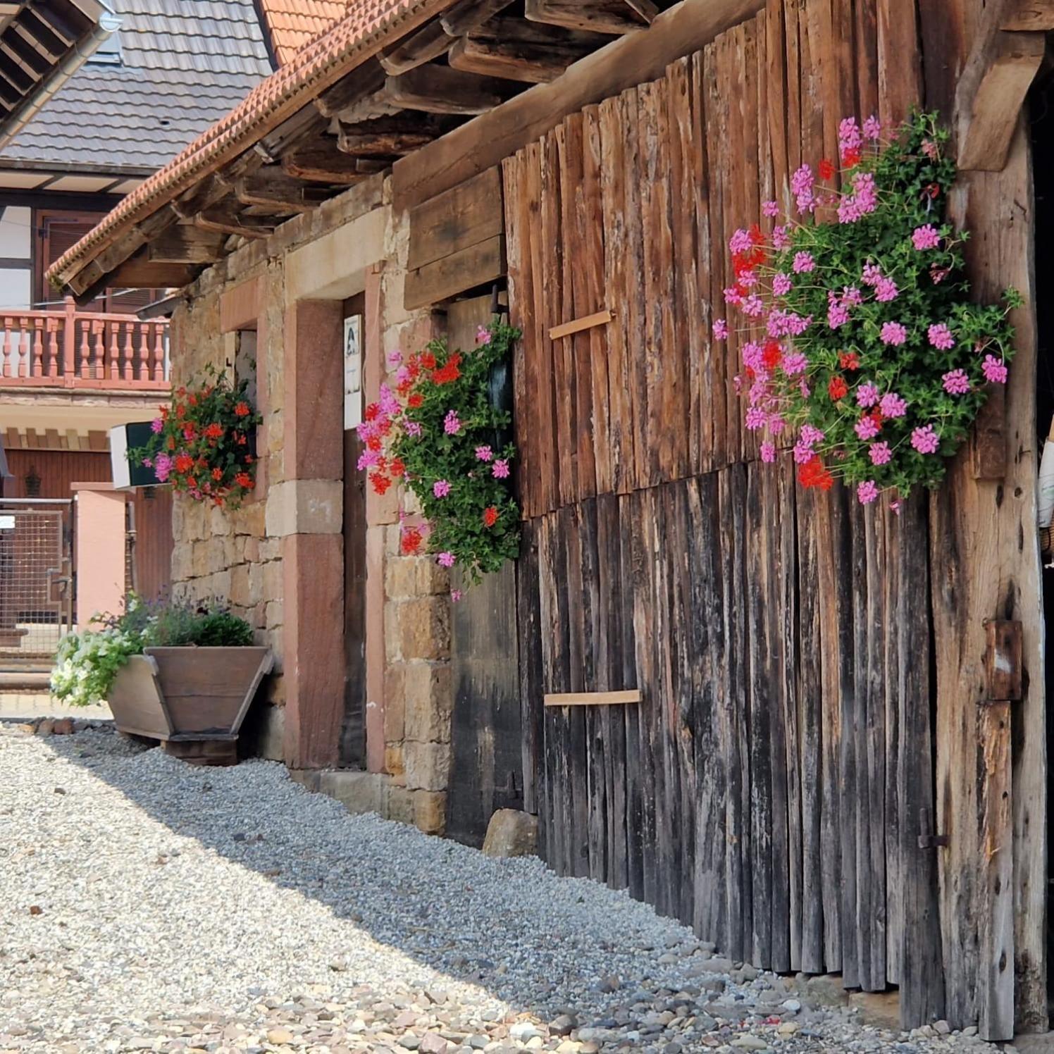 Chambres D'Hotes Chez Linda Stephane Le Passe Compose Preuschdorf Exterior foto